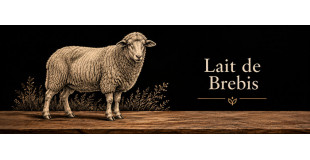 Lait de Brebis