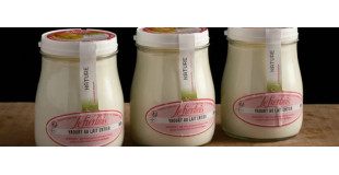 Yaourts & Desserts laitiers