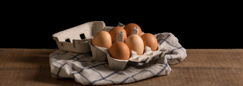 Lait & Oeufs 