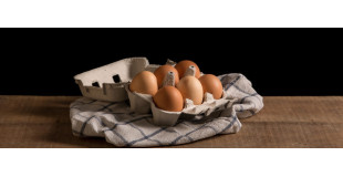 Lait & Oeufs 