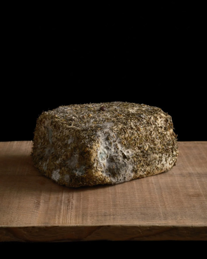 Fromage Corse aux Herbes : Brin d’Amour